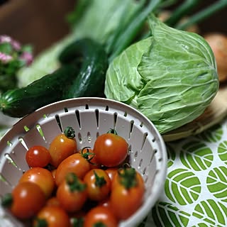 セカンドライフ/自家栽培の野菜/野菜を育てる/自家栽培を楽しむ/充実感...などのインテリア実例 - 2023-06-03 23:29:13