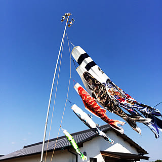 壁/天井/青空！/こいのぼり/平屋暮らし/杉...などのインテリア実例 - 2018-05-04 16:36:10