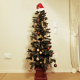 クリスマス/クリスマスディスプレイ/クリスマスツリー150cm/リビングのインテリア実例 - 2021-12-12 21:09:37