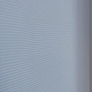 自然素材/塗り壁/ダイアトーマス/ナチュラル/壁/天井のインテリア実例 - 2020-02-20 18:20:41