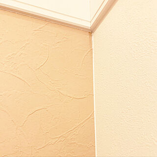 ラメ入りクロス/階段の壁紙/壁紙貼り替え/漆喰風クロス/壁/天井のインテリア実例 - 2020-10-10 22:34:43