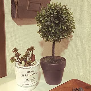 キッチン/カフェ風/北欧/多肉植物/観葉植物...などのインテリア実例 - 2015-10-14 23:48:34