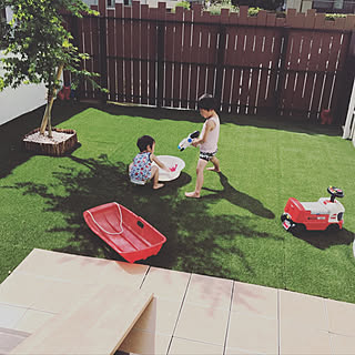 イロハモミジのインテリア実例 Roomclip ルームクリップ