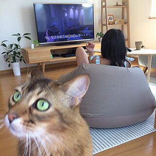 Yumiさんの実例写真