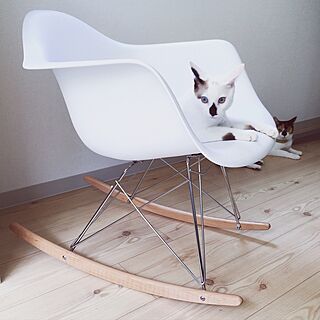 リビング/チェア/Eames Chair/北欧/ねこ部のインテリア実例 - 2015-08-06 02:02:05