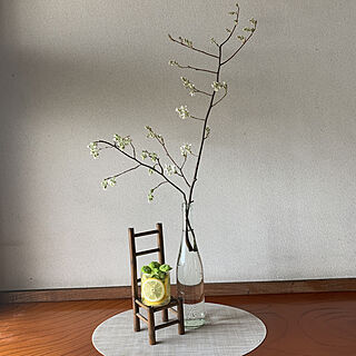 椅子は人形が座ってたもの。/グラスにレモンを入れてみました。/背が高い瓶は長い枝でバランス良く。/花のある暮らし/花から元気もらう...などのインテリア実例 - 2020-04-03 10:48:28