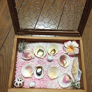 ハワイ大好き/セリア/ハンドメイド/DIY/棚...などのインテリア実例 - 2015-04-09 00:23:27