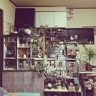 部屋全体/観葉植物/雑貨/ハンドメイド/DIY...などのインテリア実例 - 2016-04-17 07:25:17