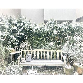 雪の庭/庭/東京の雪/冬の庭のインテリア実例 - 2023-02-10 15:23:04