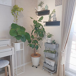 観葉植物/マンション暮らし/犬のいる暮らし/子供と暮らす家/無印良品...などのインテリア実例 - 2020-03-25 12:57:45