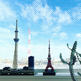 壁/天井/ホワイトゴースト/nanoblock/NO GREEN NO LIFEのインテリア実例 - 2018-01-30 13:10:41