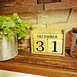 キッチン/カレンダー/3COINS/ペペロミア ジェミニのインテリア実例 - 2015-12-31 23:35:46