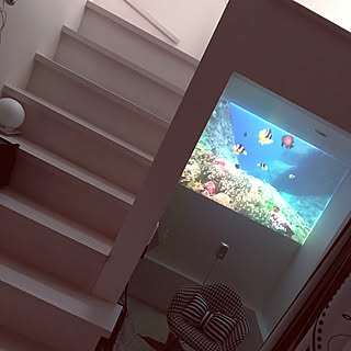 部屋全体/水族館/プロジェクター/映画鑑賞/地下部屋...などのインテリア実例 - 2019-01-31 12:52:07