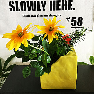 ベランダの花を飾る/黄色の花瓶/ルドベキア/花びん/みていただきありがとうございます❤️...などのインテリア実例 - 2021-07-02 02:17:55