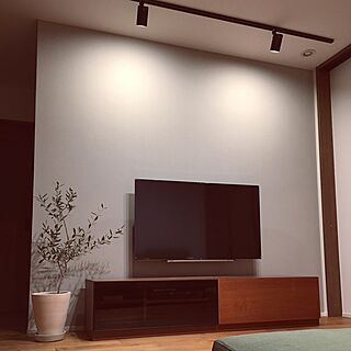 リビング/壁掛けTV/テレビボード/スポット照明/グレーの壁...などのインテリア実例 - 2017-03-08 06:59:28