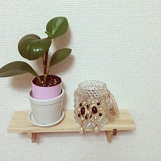 壁/天井/100均/雑貨/植物のインテリア実例 - 2013-03-29 21:26:23