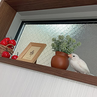 りんご/文鳥/雑貨/ポストカード/カフェ風...などのインテリア実例 - 2020-11-21 11:43:12