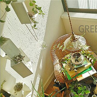 壁/天井/植物/照明/green/漆喰壁...などのインテリア実例 - 2016-02-21 21:55:44