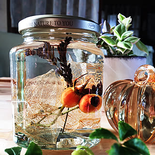 リビング 透かしほおずきのインテリア実例 Roomclip ルームクリップ