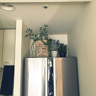キッチン/冷蔵庫の上/IKEA/マンション暮らし/フェイクグリーンのインテリア実例 - 2016-09-10 14:32:59