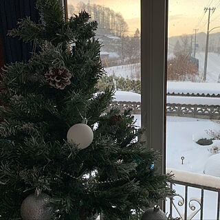 クリスマス本番！/お庭は手付かず…/朝日が気持ちいい/クリスマスツリー/部屋全体のインテリア実例 - 2019-12-22 23:37:40