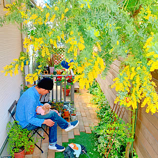 花のある暮らし/ガーデニング/グリーンのある暮らし/植物のある暮らし/季節を感じる暮らし...などのインテリア実例 - 2020-03-23 21:00:40