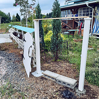 玄関/入り口/白い柵DIY/庭/ブルーエンジェルの木のインテリア実例 - 2021-09-07 20:02:17