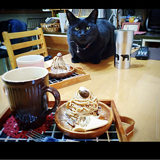 机/節約/ねこのいる日常/猫カフェ風/猫と暮らす...などのインテリア実例 - 2021-12-02 21:11:06