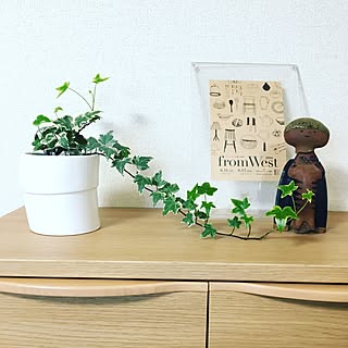 棚/初投稿/雑貨/観葉植物/賃貸アパート...などのインテリア実例 - 2017-04-09 16:36:40