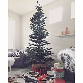 リビング/クリスマス/クリスマスツリー/カリフォルニアのインテリア実例 - 2016-11-28 17:38:34