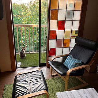 障子に和紙/IKEAの椅子とオットマン/ハンスト中ののん/ベランダの猫/ねこのいる風景...などのインテリア実例 - 2022-04-10 06:30:55