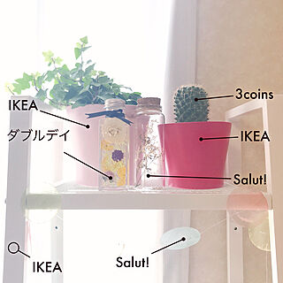 棚/IKEA/salut!/実家/ホワイトインテリア...などのインテリア実例 - 2018-06-11 00:11:43