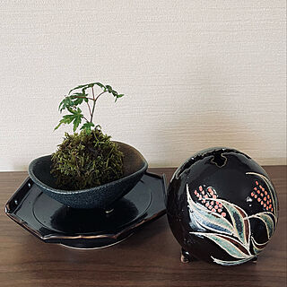 やちむんの花器/苔玉作り/苔玉/観葉植物のある暮らし/棚のインテリア実例 - 2022-08-27 16:12:23