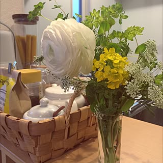 キッチン/植物/生花/ラナンキュラス/菜の花のインテリア実例 - 2015-03-03 16:58:55