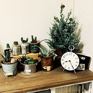 棚/クリスマスツリー/サボテンが好き♡/観葉植物のインテリア実例 - 2015-11-28 21:02:37