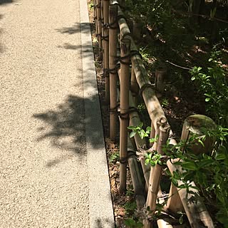 玄関/入り口/理想の庭/自宅ではない/東山動植物園♥︎のインテリア実例 - 2016-05-11 12:29:31