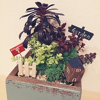 玄関/入り口/多肉植物/セダム寄せ植え/久留米つつじ祭り/多肉初心者のインテリア実例 - 2015-04-25 19:08:49