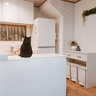 キッチン/保護猫/ねこのいる日常/ねこと暮らす/Francfranc...などのインテリア実例 - 2022-03-23 20:00:04