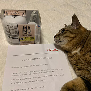 rioさんの実例写真