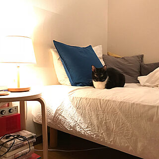 ベッド周り/猫/無印良品/一人暮らし/IKEAのインテリア実例 - 2018-04-28 20:26:38