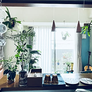 余震が収まりますように/＆Green/雨の朝/好きなものに囲まれて暮らす/観葉植物...などのインテリア実例 - 2022-03-18 10:31:01