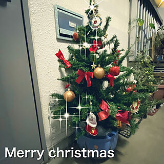 エアパッキンで固定/クリスマス/捨てたはずのクリスマスツリー/玄関に飾ってみる/鉢に入れてみた...などのインテリア実例 - 2021-11-08 09:32:57