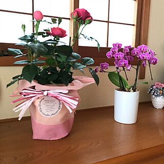 玄関/入り口/ありがとう♡/母の日のお花のインテリア実例 - 2018-05-15 12:04:08