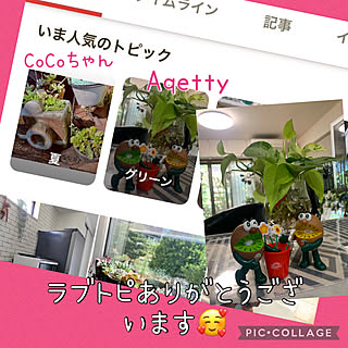 壁/天井/カウンターキッチン/CoCoちゃんとラブトピ/ラブトピ嬉しい/トピック掲載ありがとうございます♡...などのインテリア実例 - 2023-07-30 12:18:44