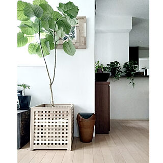 壁/天井/リサイクル/IKEA/観葉植物/水槽のある部屋...などのインテリア実例 - 2020-09-17 20:23:49