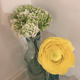 ラナンキュラス/花のある暮らし/ホワイトインテリア/いつもありがとうございます♡/お花が好き...などのインテリア実例 - 2020-03-20 05:03:29