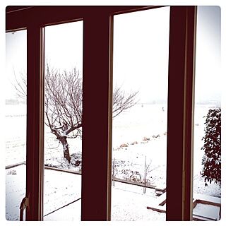 リビング/リビングからの景色/雪景色のインテリア実例 - 2015-01-30 11:32:21