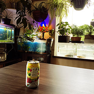 ノンアルコール飲料/観葉植物/ジャングル化計画/ステンドグラスランプ/水槽のある部屋...などのインテリア実例 - 2021-08-21 09:46:12