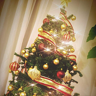 クリスマスツリー/リビングのインテリア実例 - 2020-12-03 12:02:25