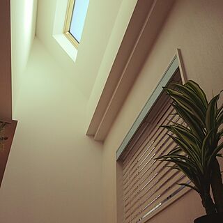 壁/天井/天窓からの光り/カリフォルニアスタイル/天窓/観葉植物...などのインテリア実例 - 2016-12-31 13:28:37